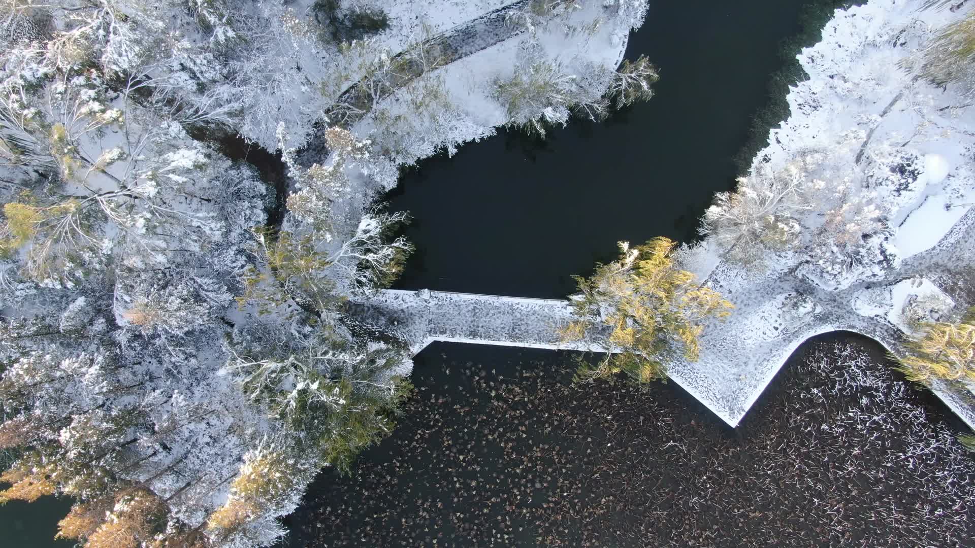 航拍山东济南大明湖雪景视频的预览图