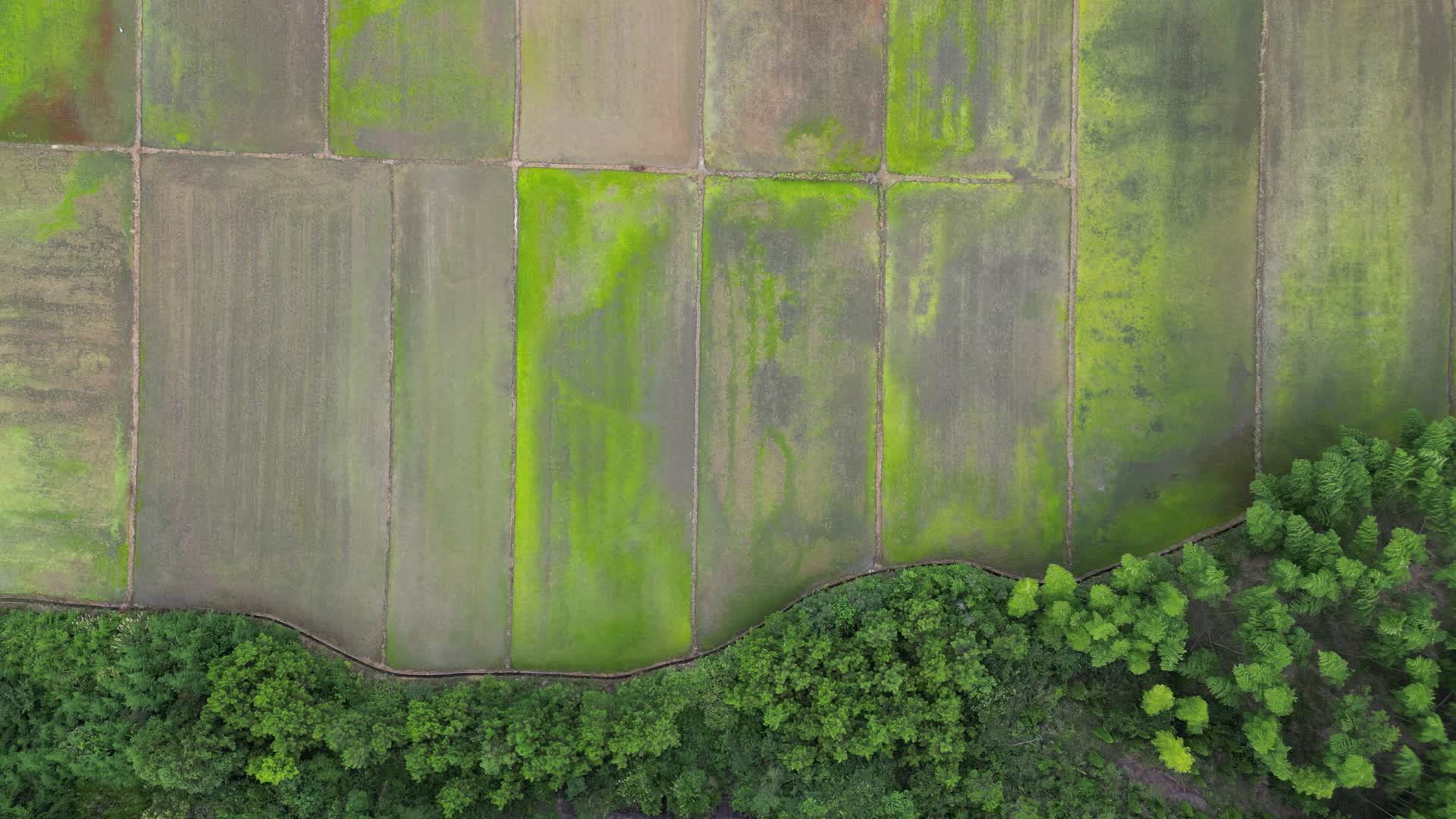 航拍农耕种植农田视频的预览图