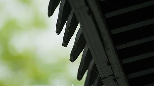阴天下雨水滴4K实拍空镜视频的预览图