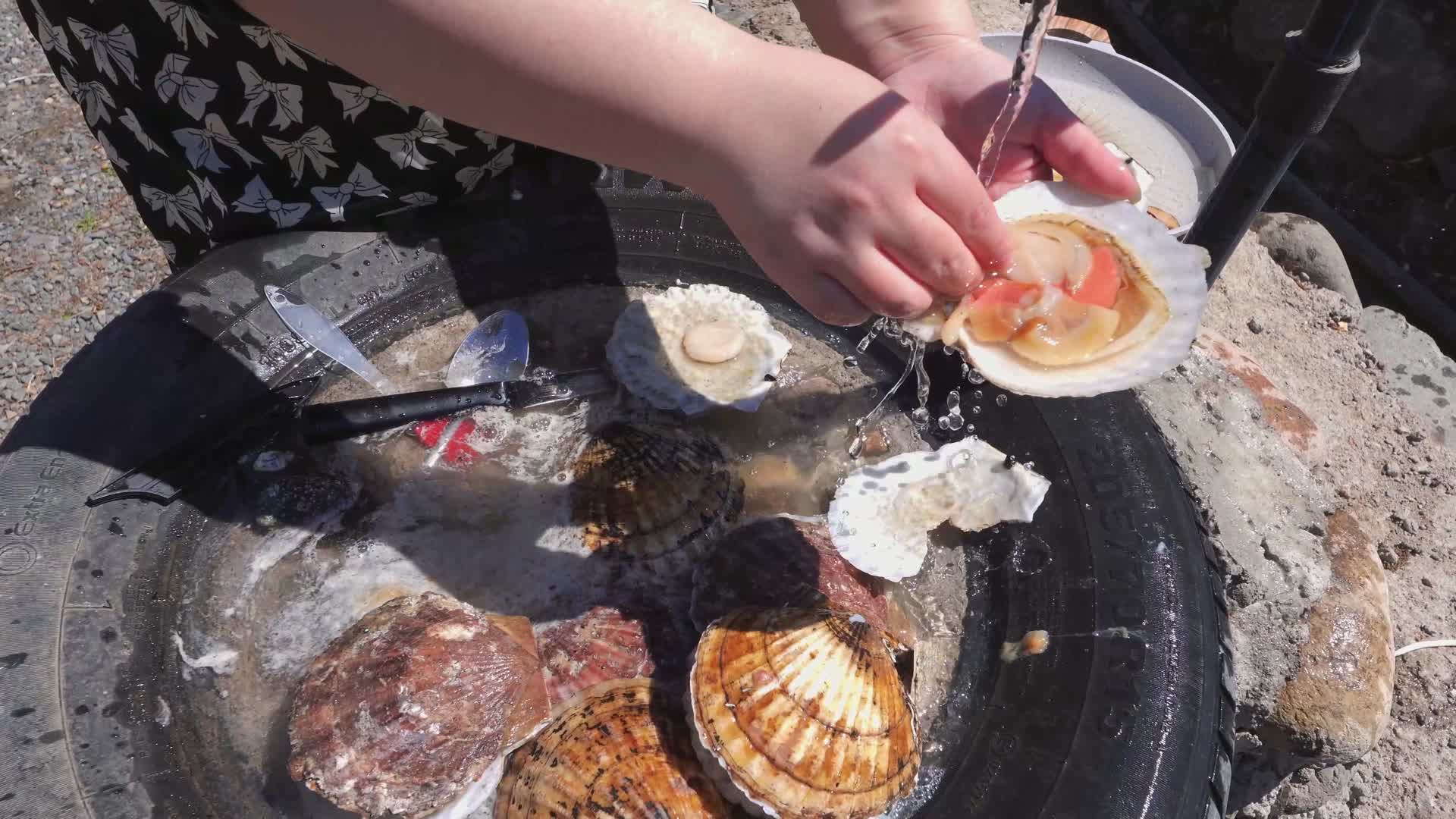 海鲜清洗处理扇贝鲍鱼生蚝视频的预览图
