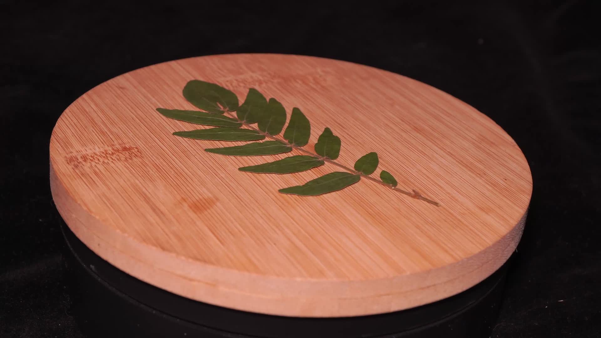 黄刺玫叶植物标本视频的预览图