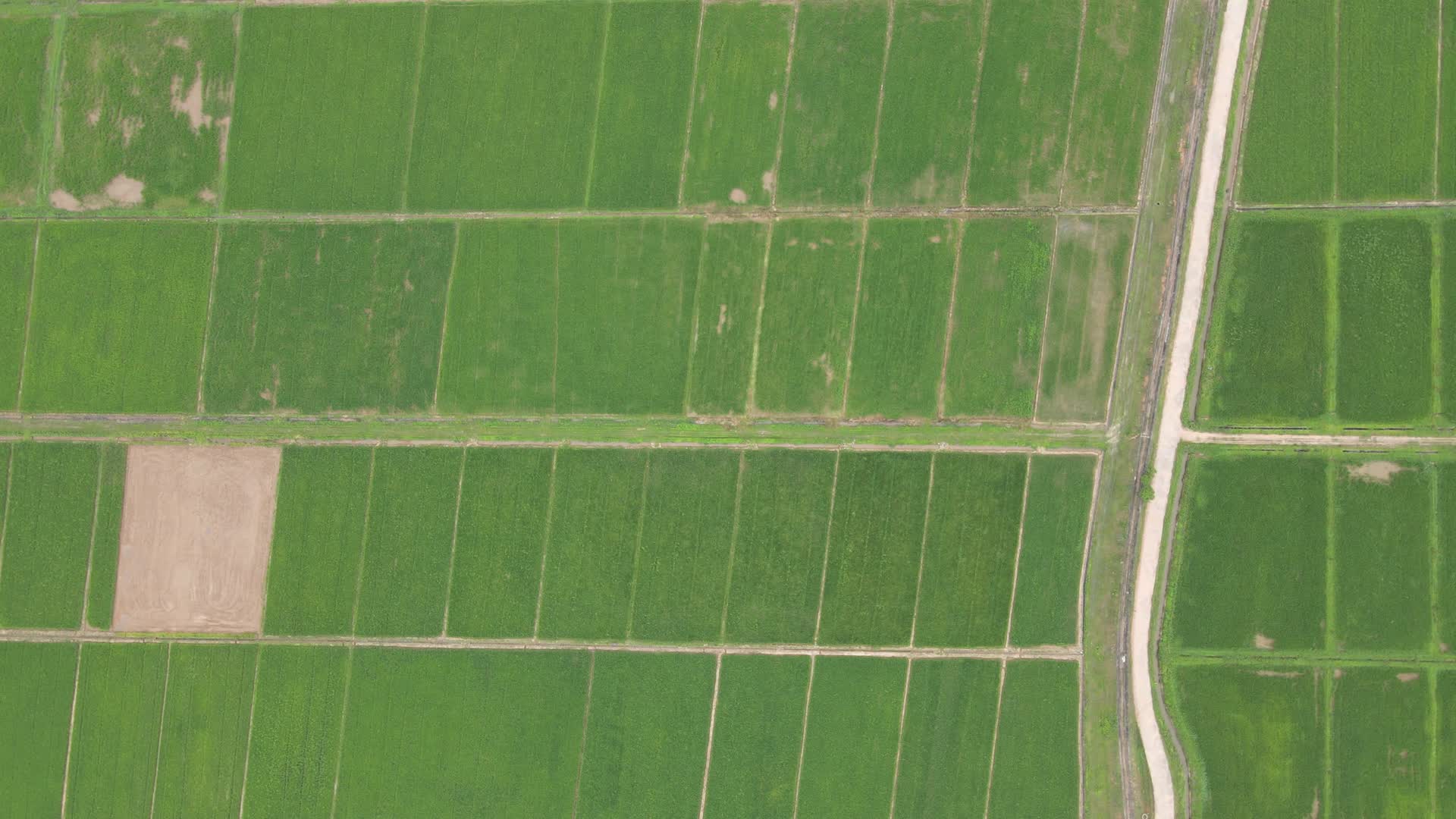 美丽乡村田园农业种植农田航拍视频的预览图