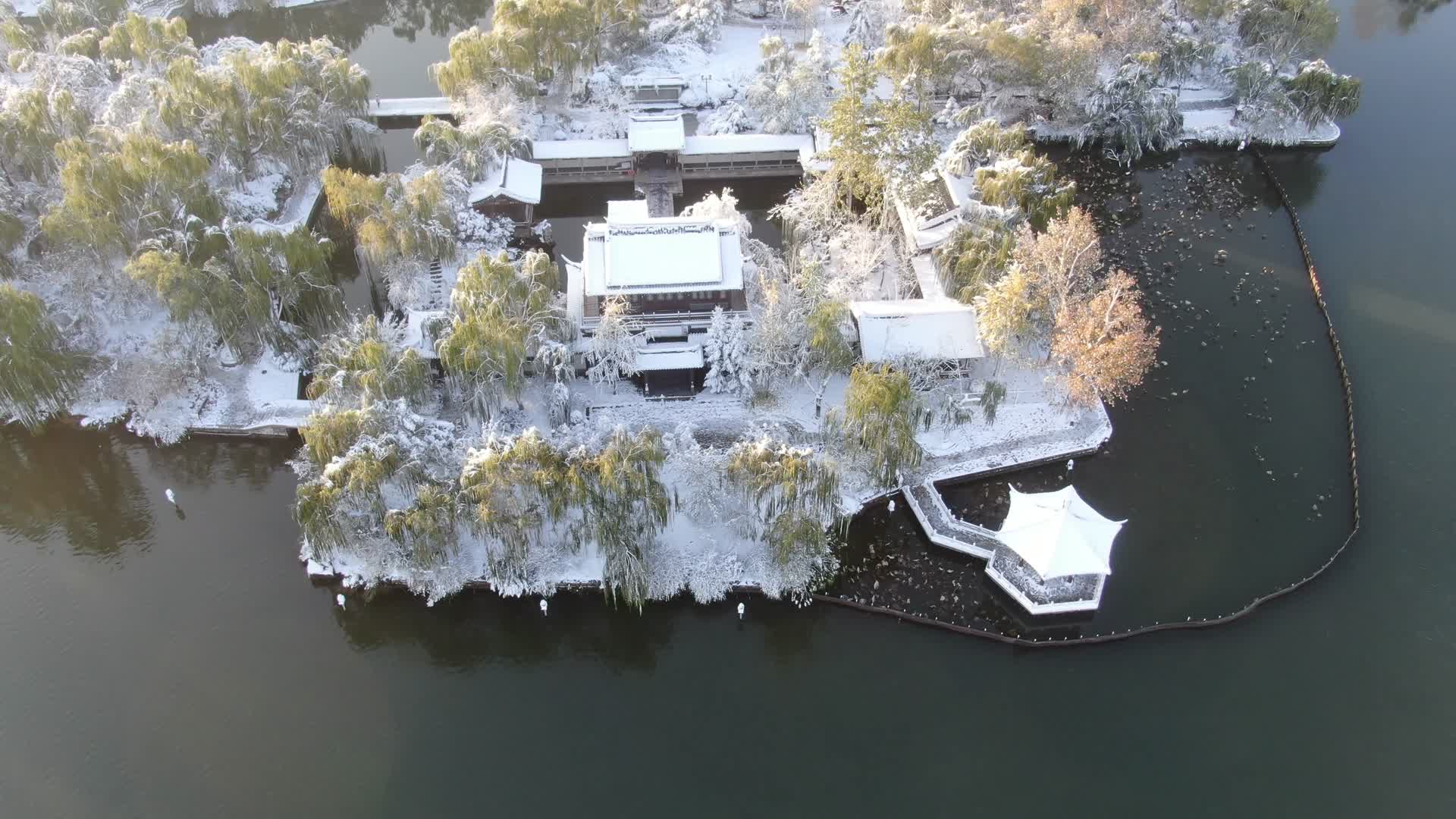 山东济南大明湖雪景视频的预览图
