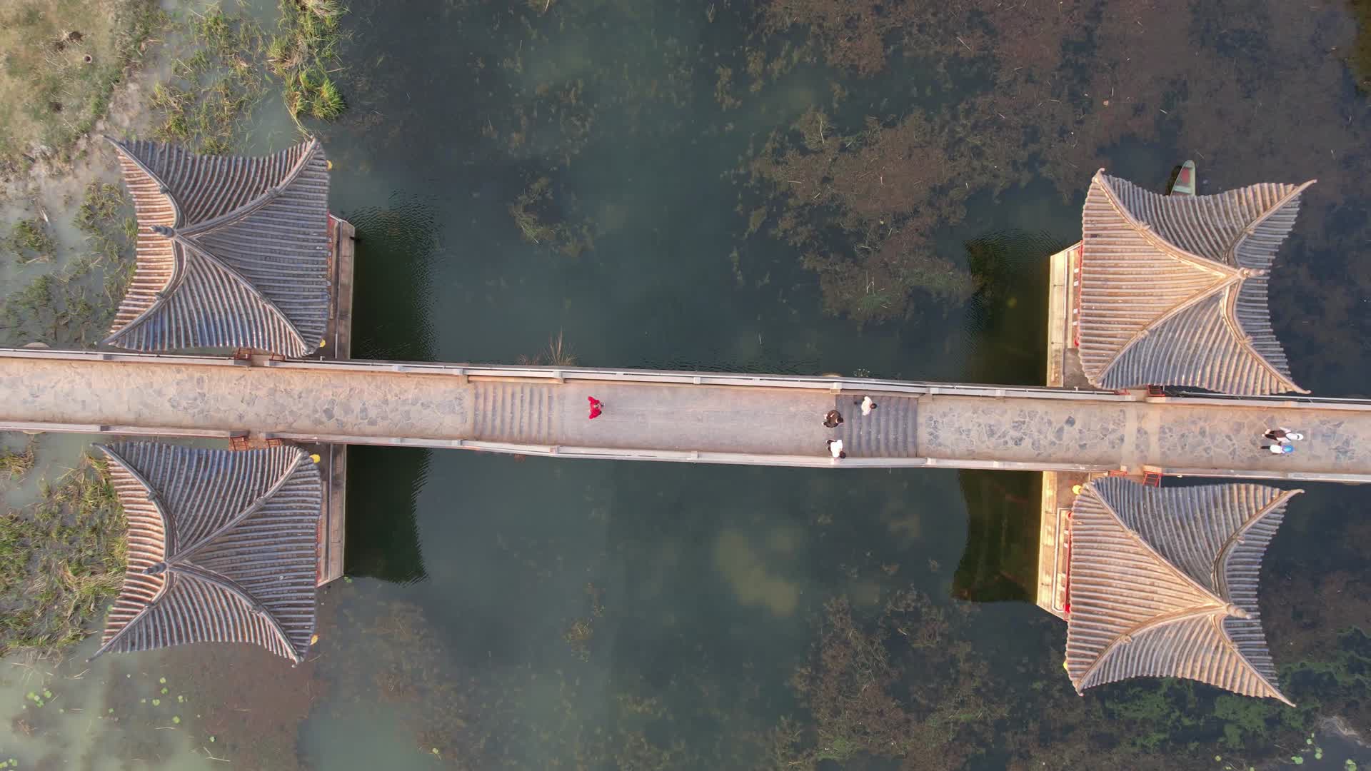 云南普者黑5A景区情人桥航拍视频的预览图