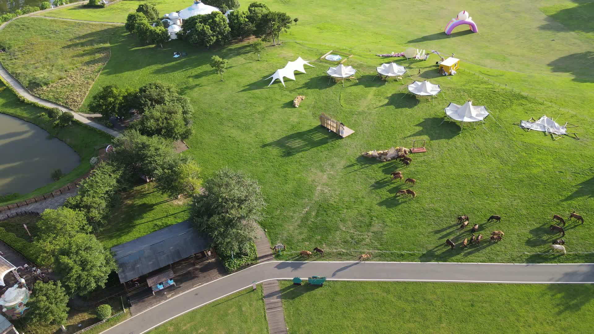 草原露营郊外风景航拍视频的预览图