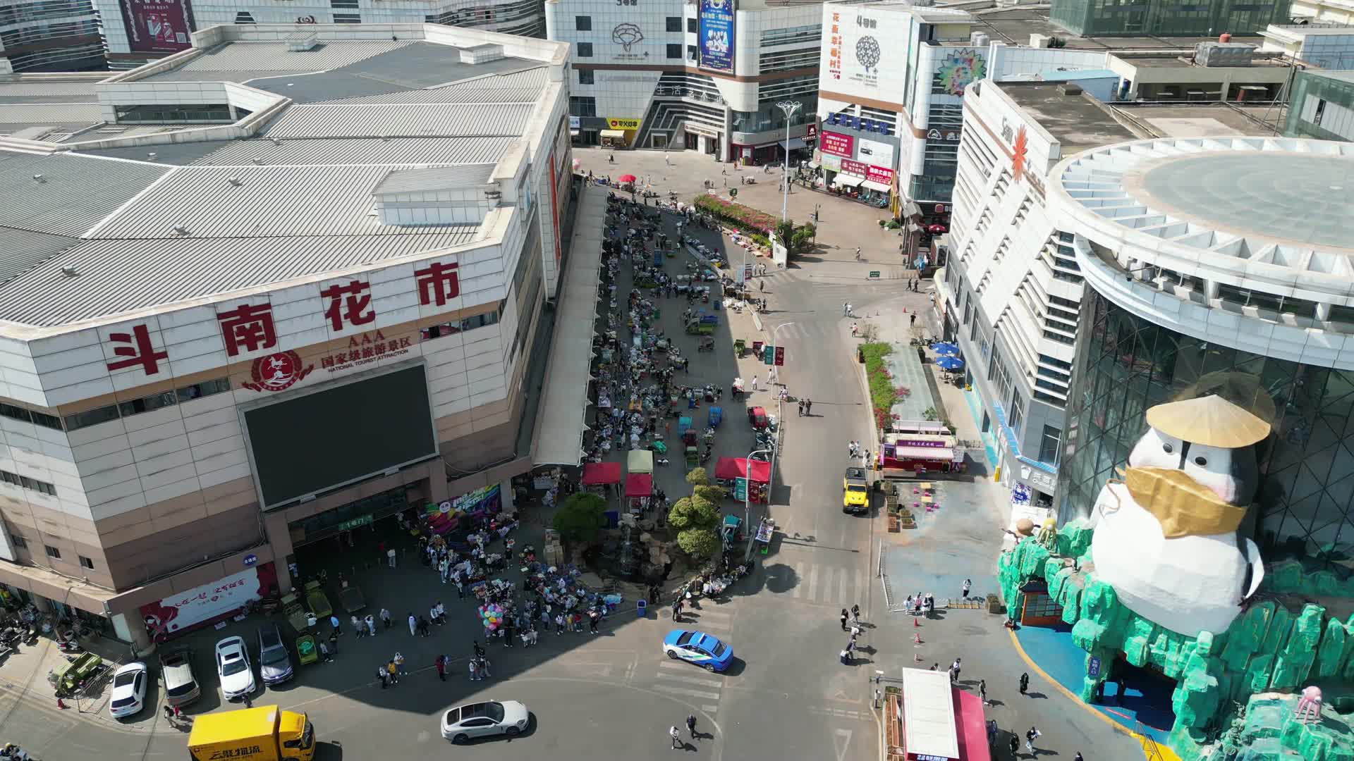 云南昆明斗南花市交易市场航拍视频的预览图