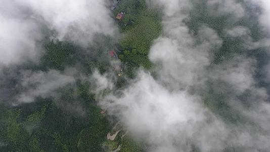 德清莫干山云雾航拍视频的预览图