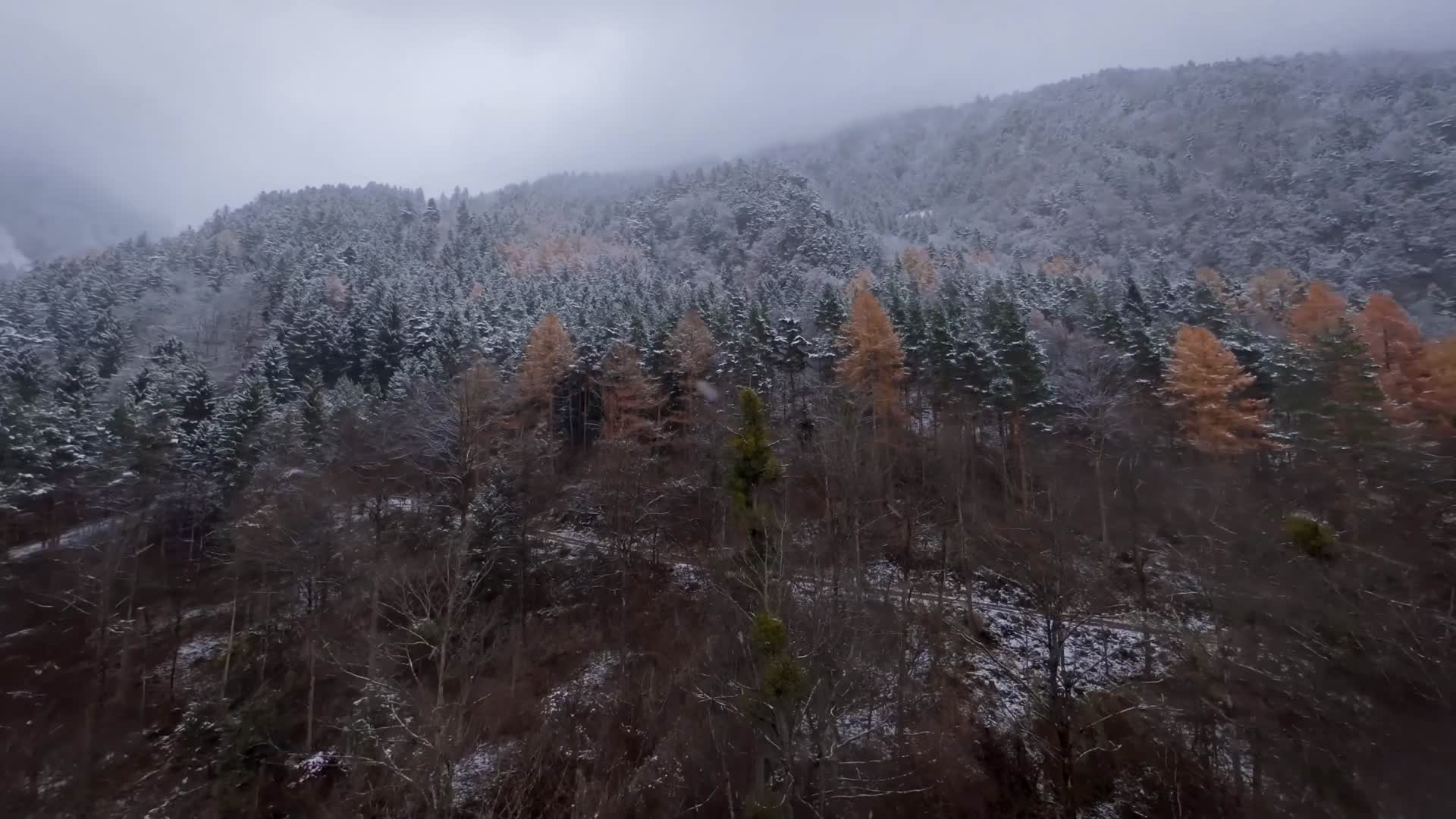 穿越机飞越雪山森林雪景视频的预览图