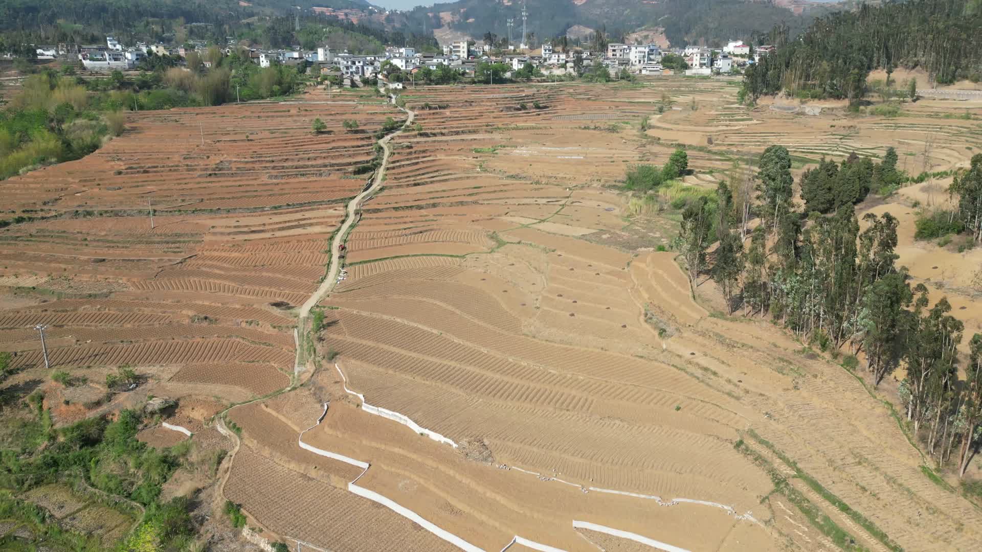 云南山区农业种植耕地航拍视频的预览图