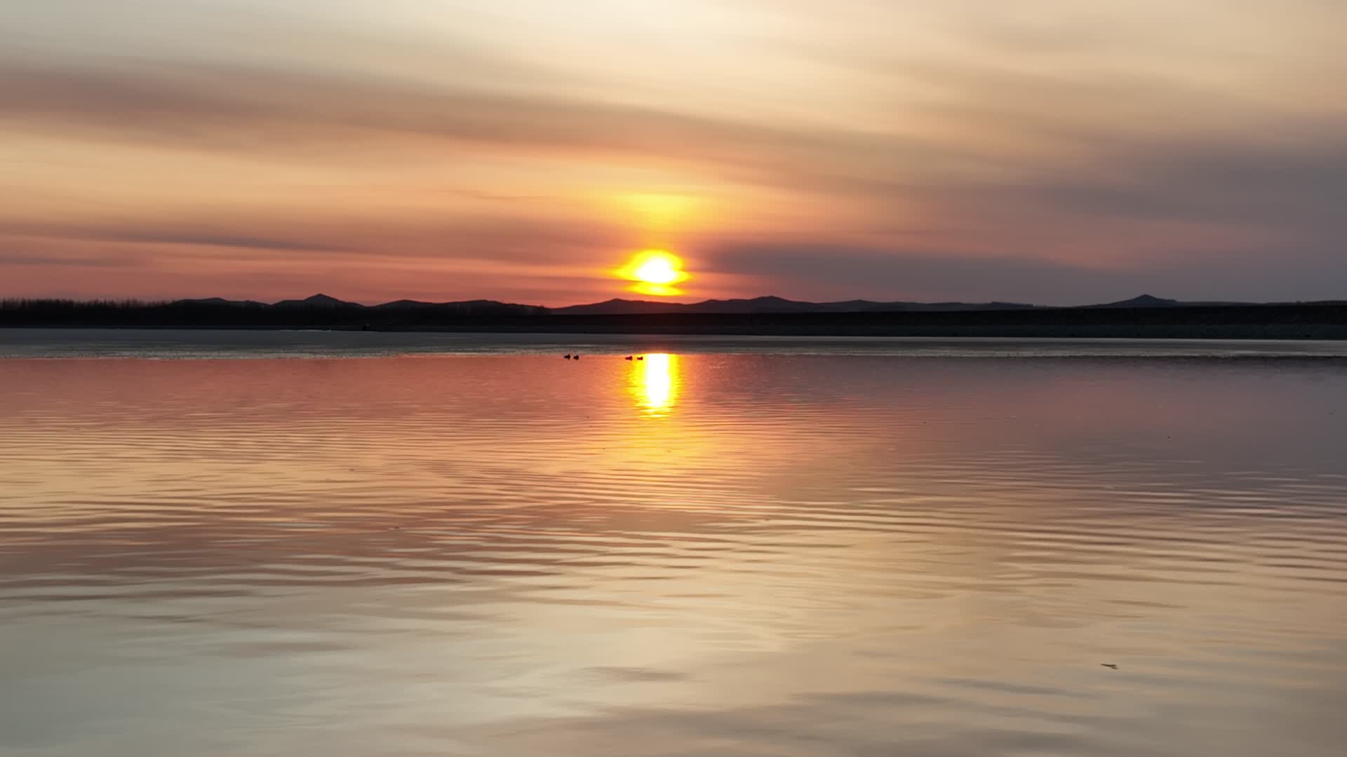 航拍水面水鸟浮冰夕阳晚霞视频的预览图