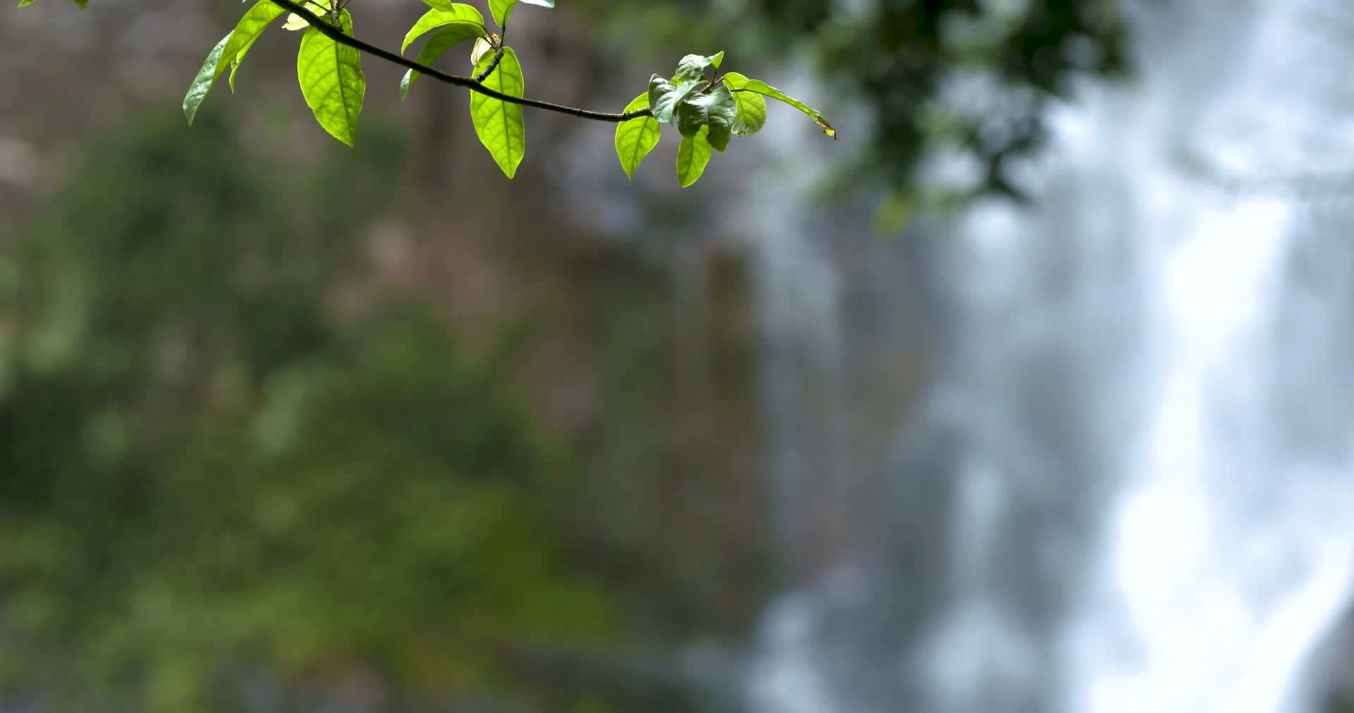 鼎湖山瀑布虚实变焦视频的预览图