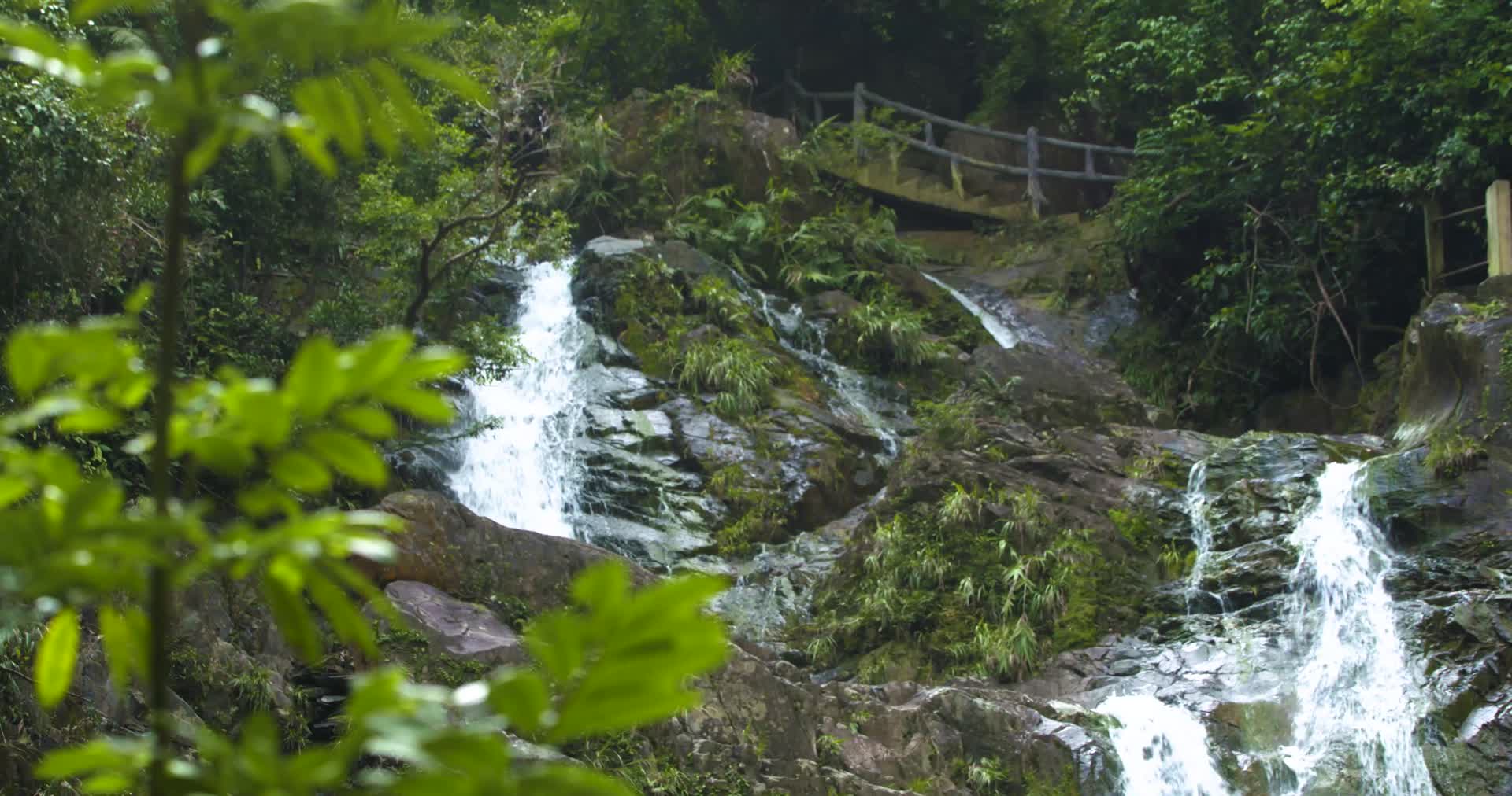 鼎湖山瀑布摇拍视频的预览图