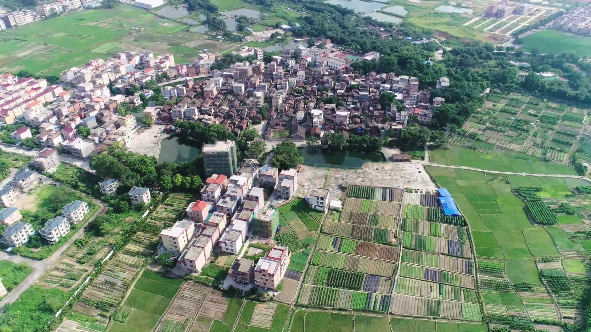 蕉园村全景航拍视频的预览图