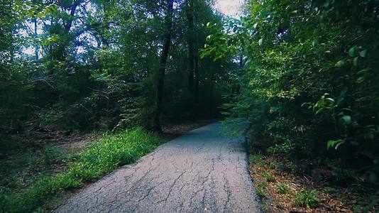森林小路行走主观镜头午后阳光视频的预览图