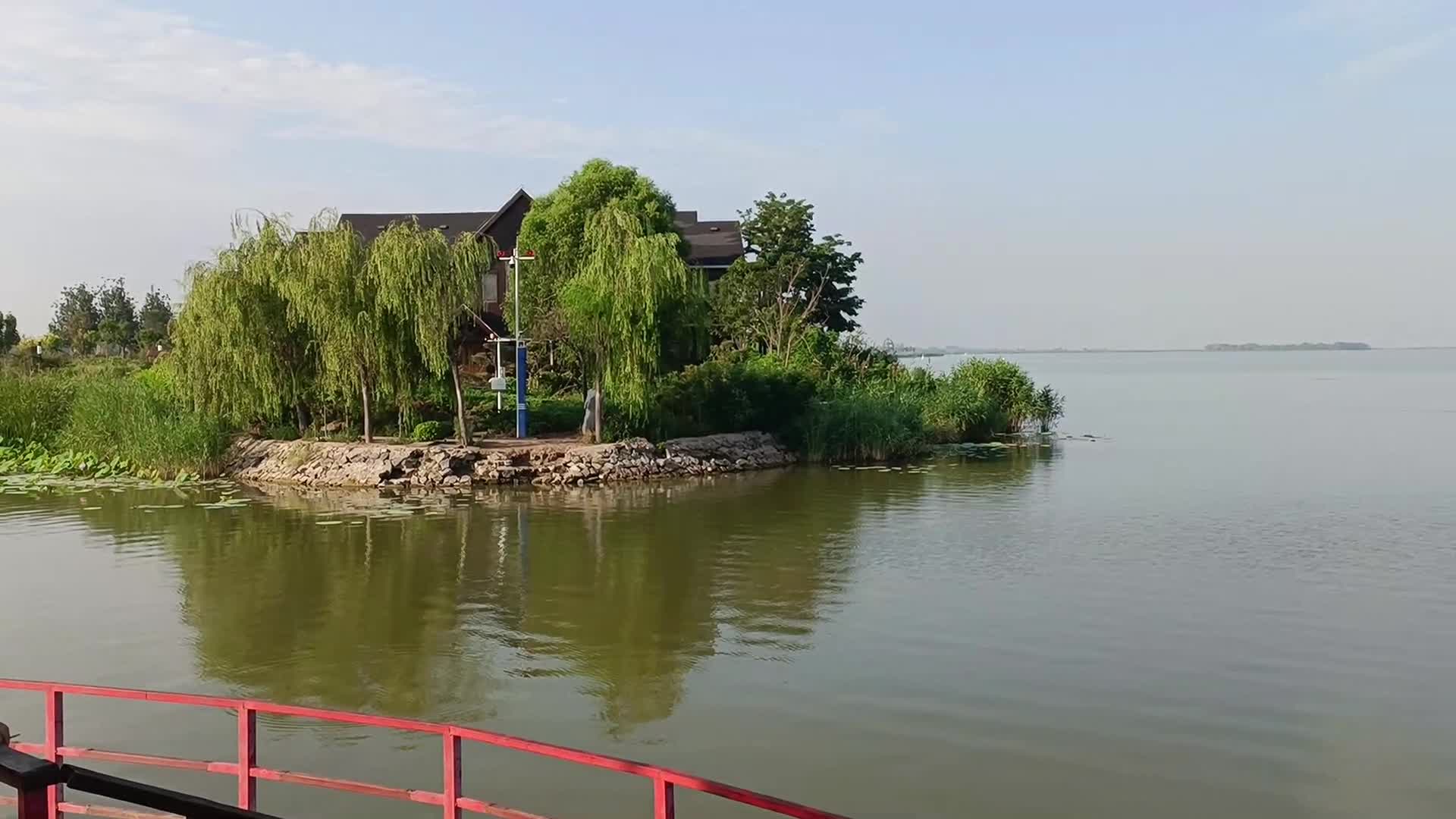 清晨的湖面视频的预览图