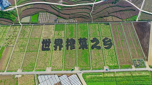 4K航拍涪陵榨菜之乡世界榨菜第一村视频的预览图