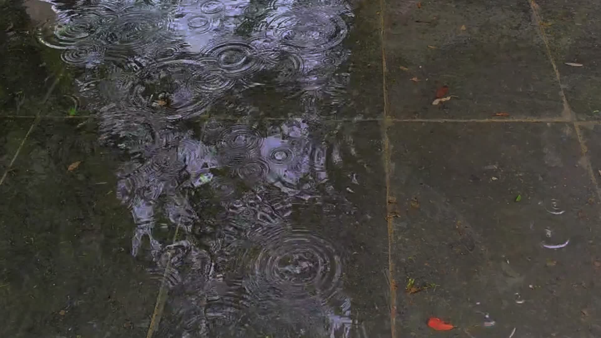 水池雨滴4K实拍视频的预览图