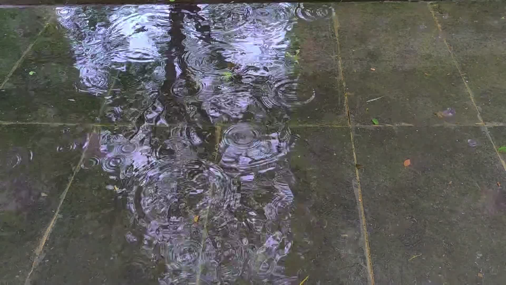 下雨雨滴水中倒影高清实拍视频的预览图
