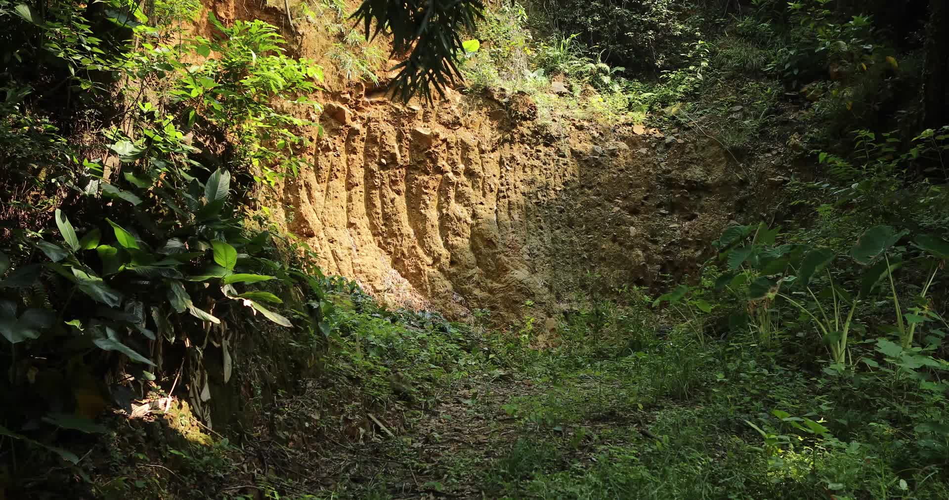 地质考察老坑洞遗址视频的预览图