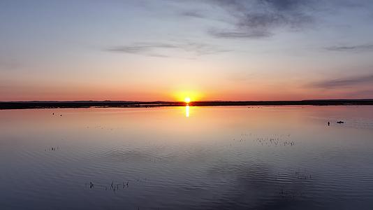 航拍草原湿地日出朝霞水中游泳的野鸭子水鸟候鸟视频的预览图
