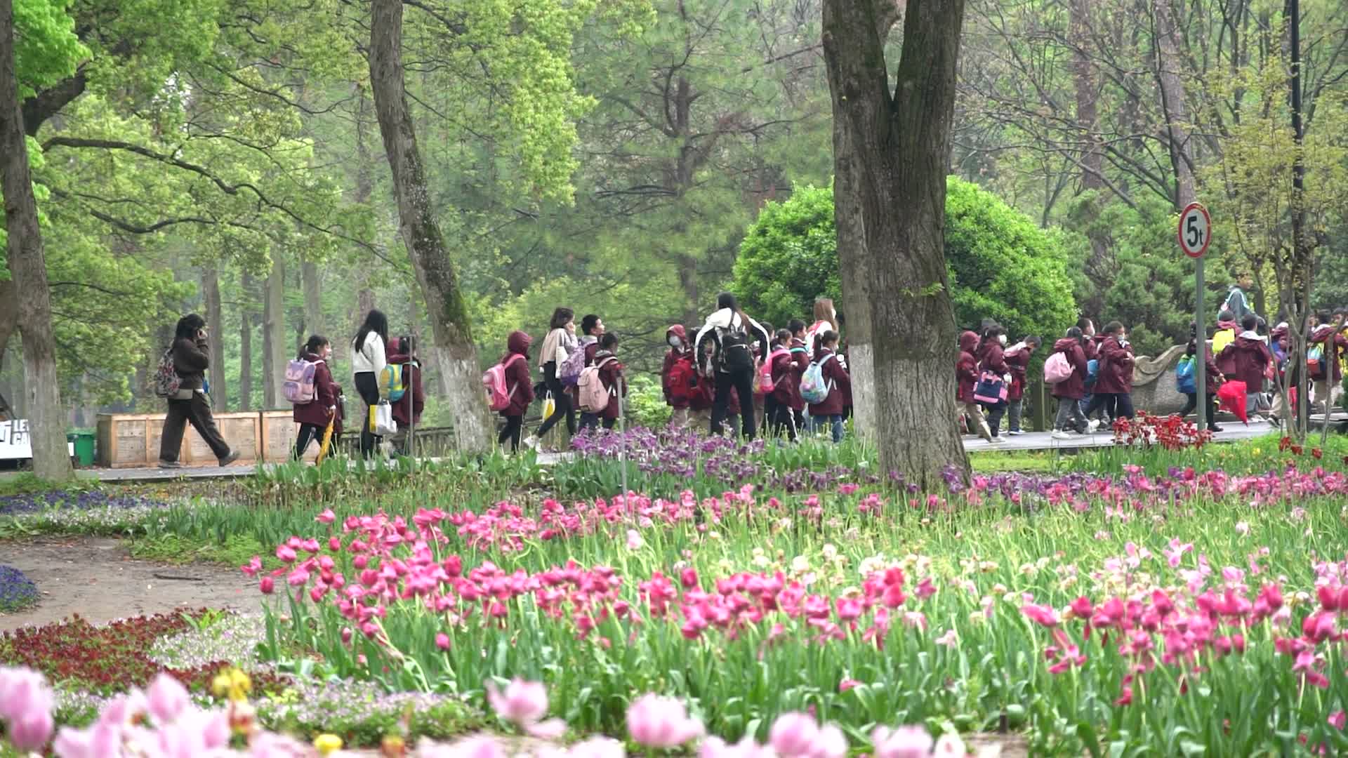 4K春天学生公园郊游班级活动升格实拍视频的预览图