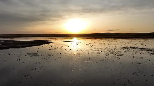 呼伦贝尔草原湿地沼泽地候鸟栖息地天鹅野鸭夕阳风景视频的预览图