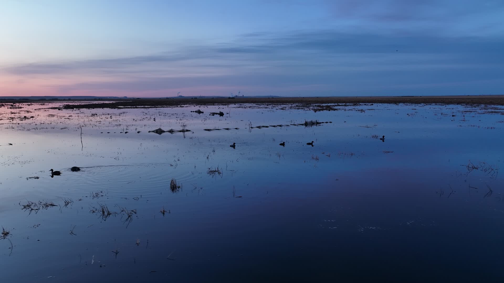 航拍草原晨曦静谧湿地沼泽地水天一色视频的预览图