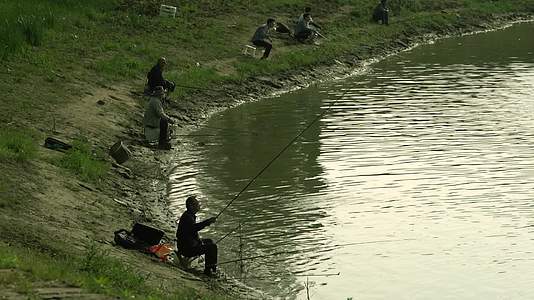 河边钓鱼视频的预览图