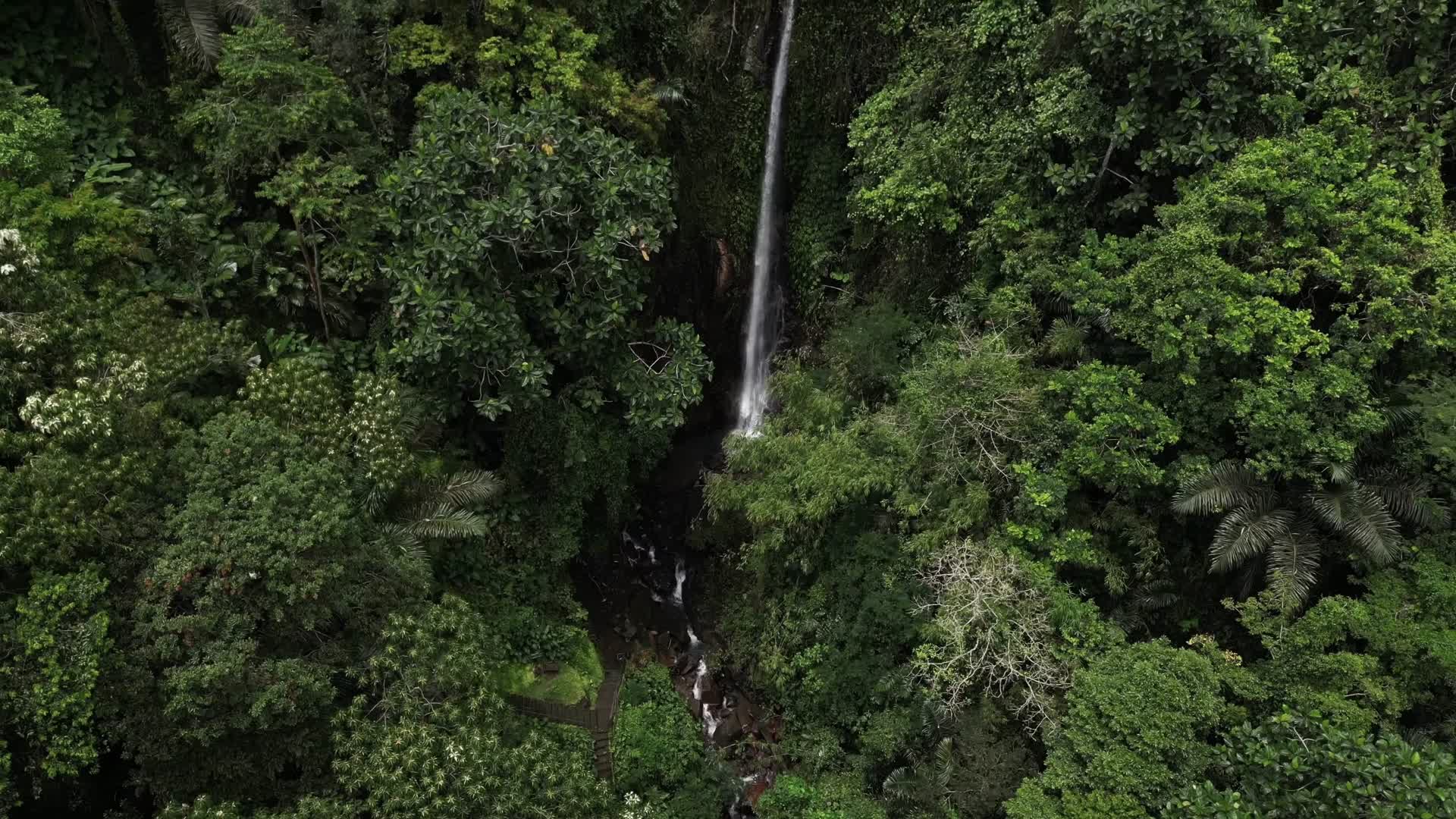 巴厘岛夏季旅行风景合集视频的预览图