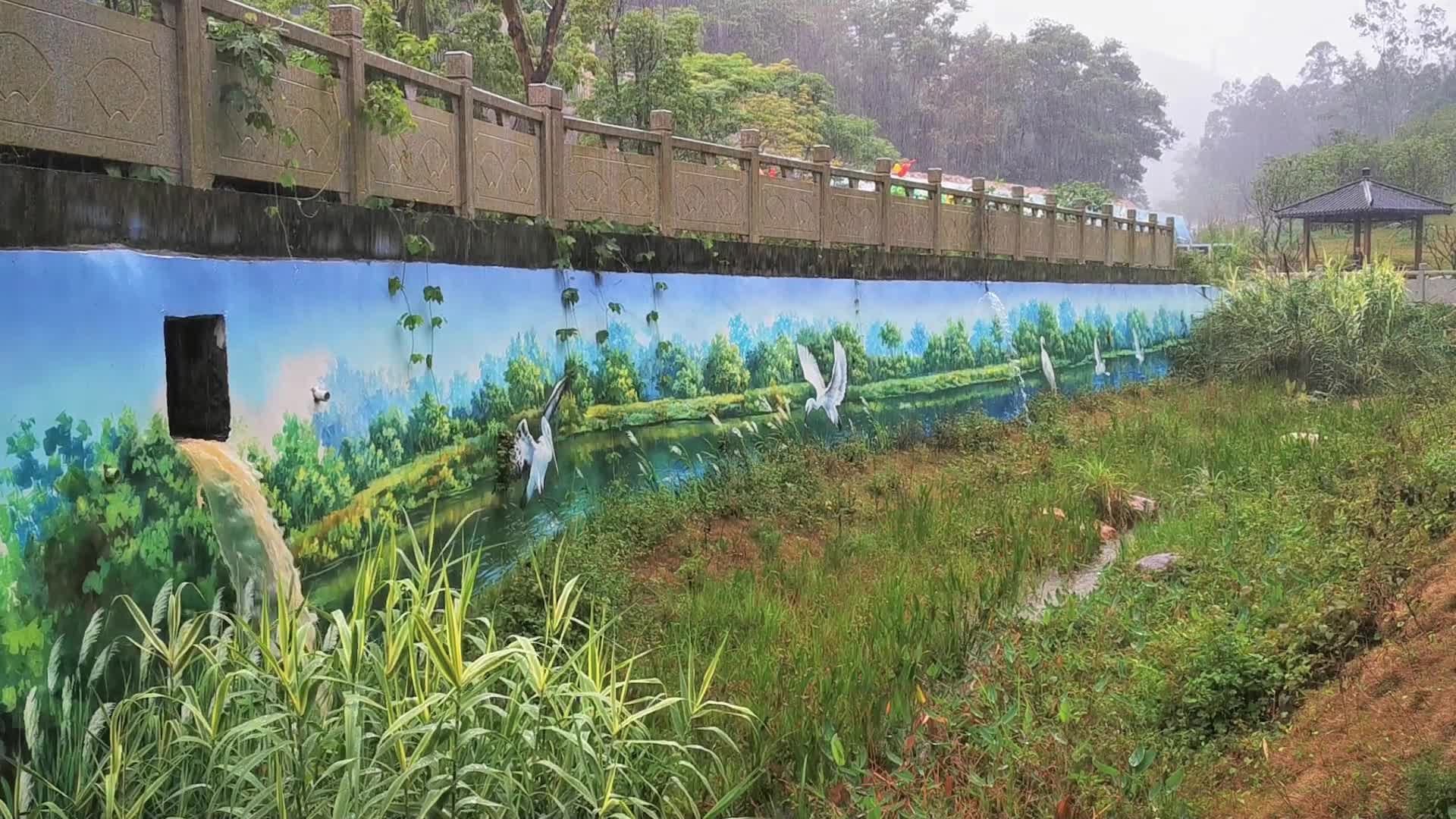 清明谷雨雨天公园下雨自然实拍1080高清视频视频的预览图