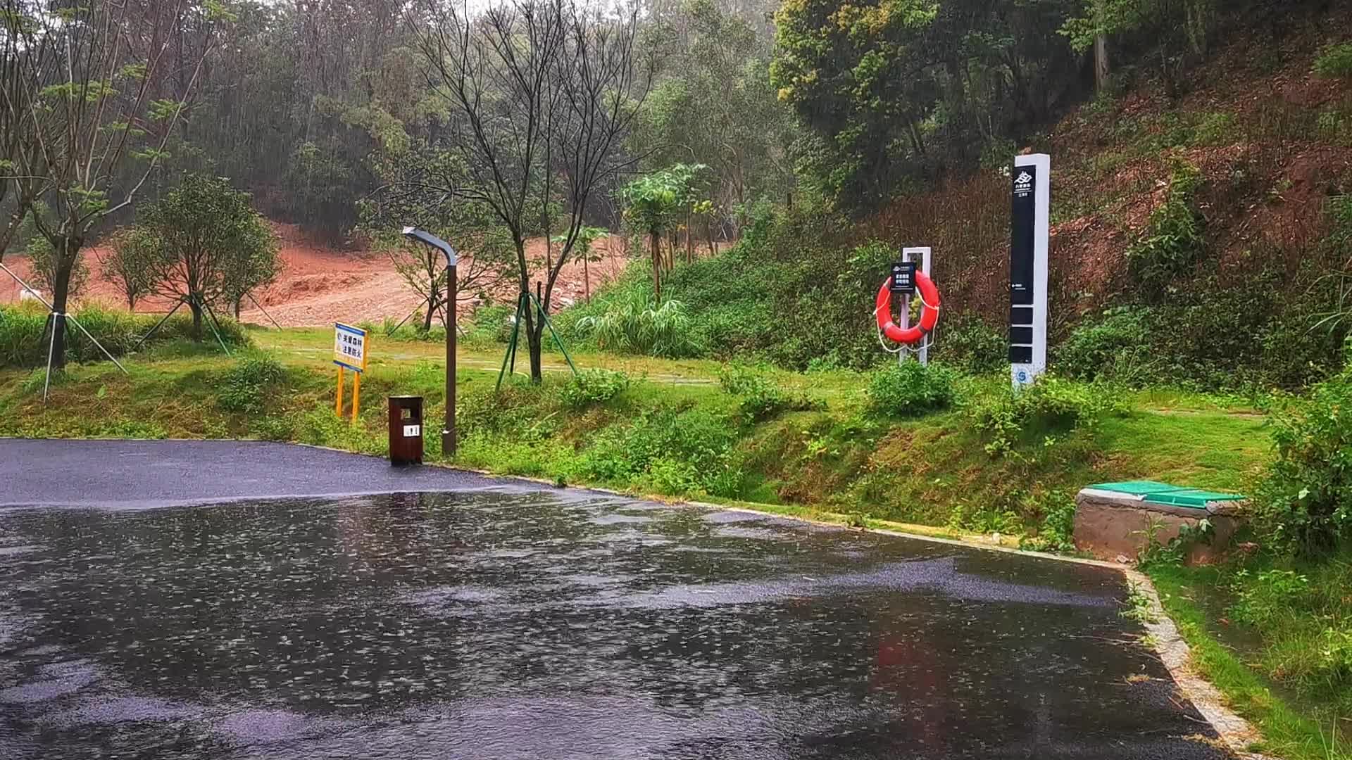 清明谷雨雨天公园下雨雨水自然实拍1080高清视频视频的预览图