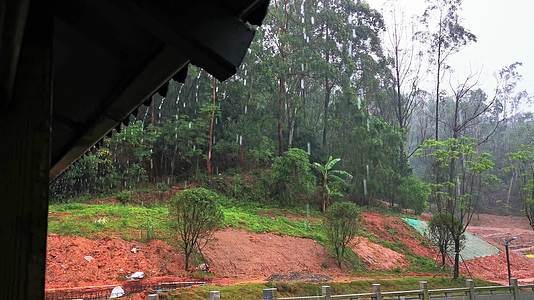 清明谷雨雨天公园下雨雨水自然实拍2160超清4K视频视频的预览图