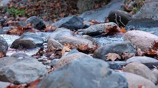 山林里的清清溪水视频的预览图