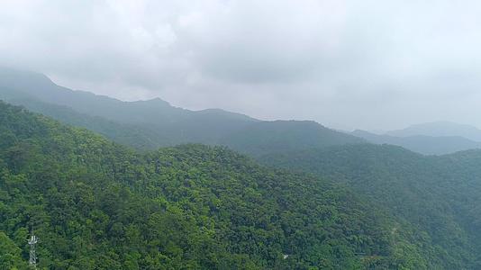 鼎湖山生态森林航拍视频的预览图