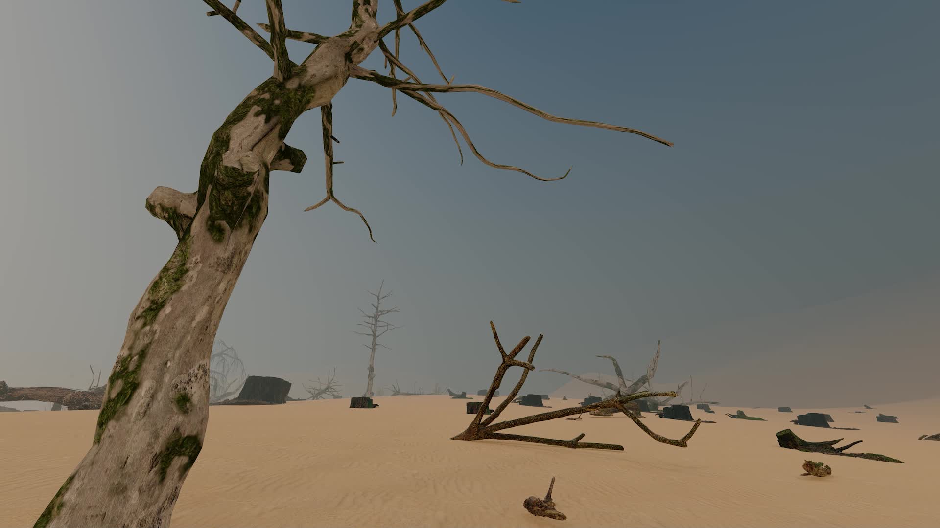 沙漠化和植被破坏视频的预览图