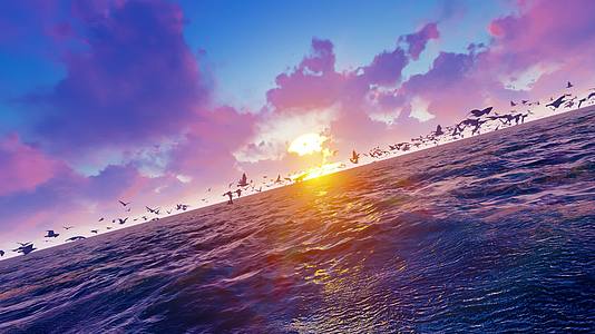 唯美大海清晨日出和海鸥群飞舞视频的预览图