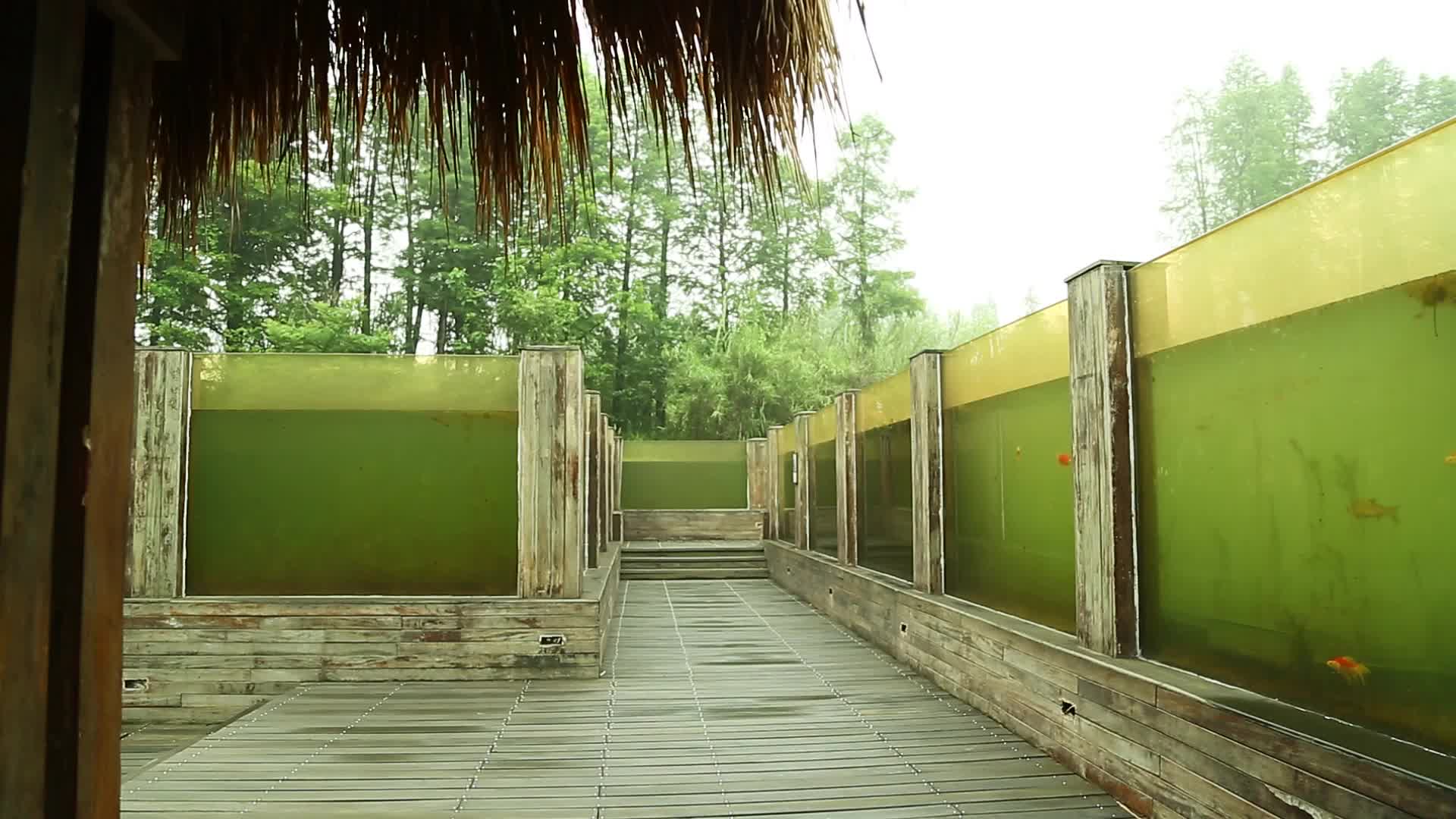 杭州湖中栈道景观视频的预览图