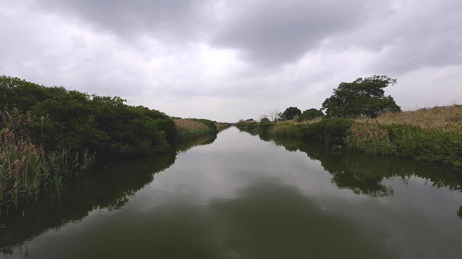 湿地延时风景视频的预览图