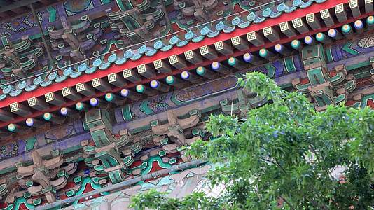 北京古建筑装饰风格与元素视频的预览图