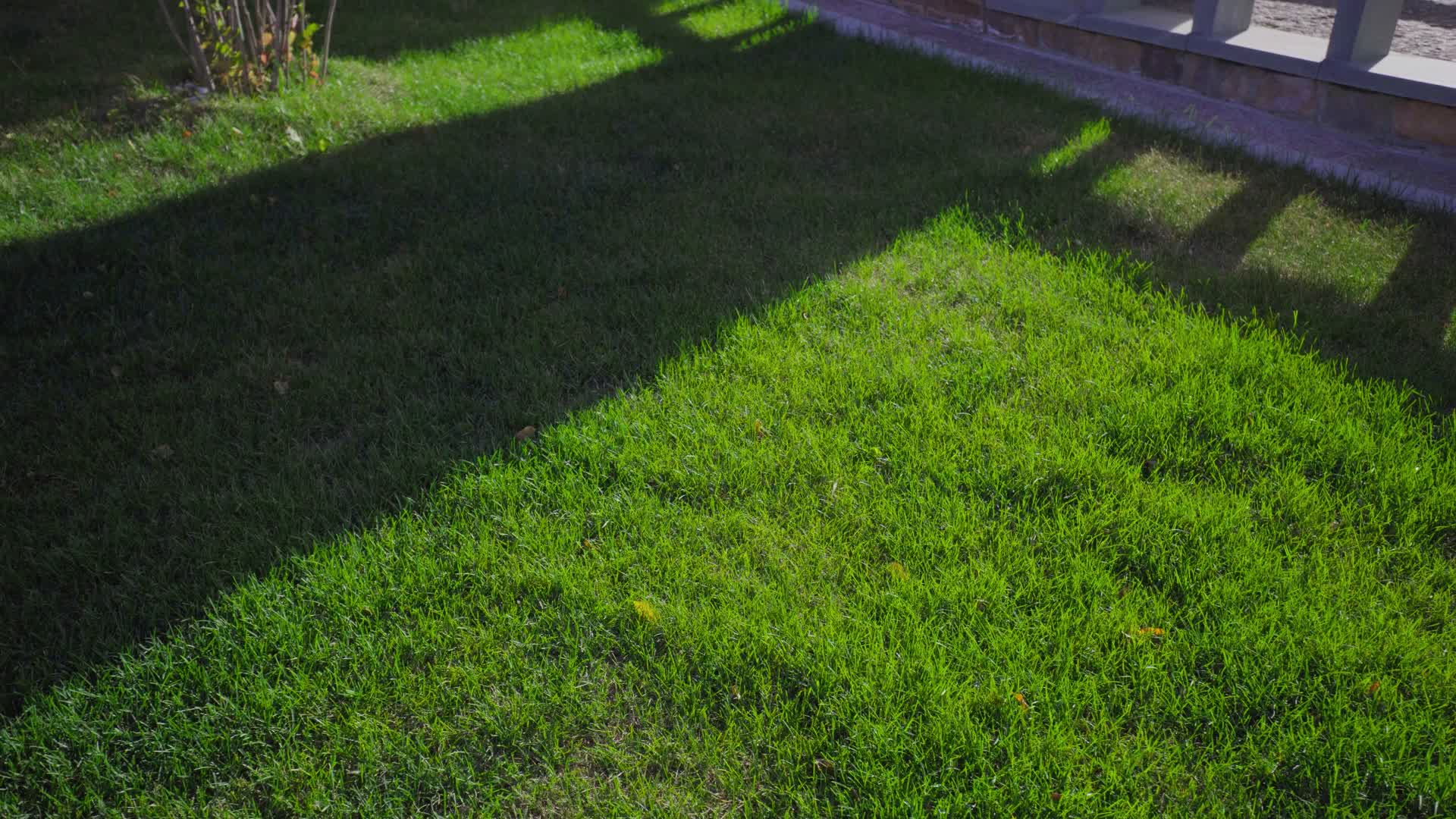 阳光与阴影下的绿茵草坪视频的预览图