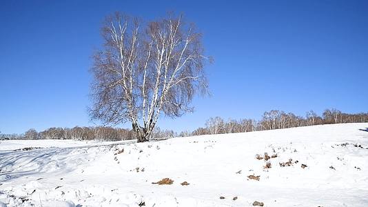 冬天草原雪地上骑马的牧民视频视频的预览图