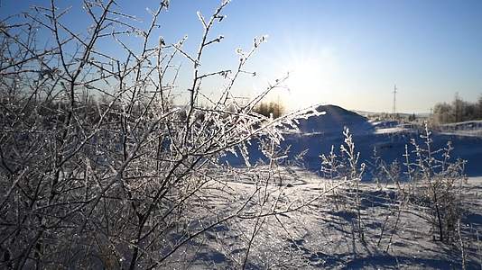 冬天雪地上逆光下的冰雪树挂视频的预览图