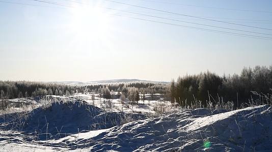 冬天的太阳与冬季林地雪景视频的预览图