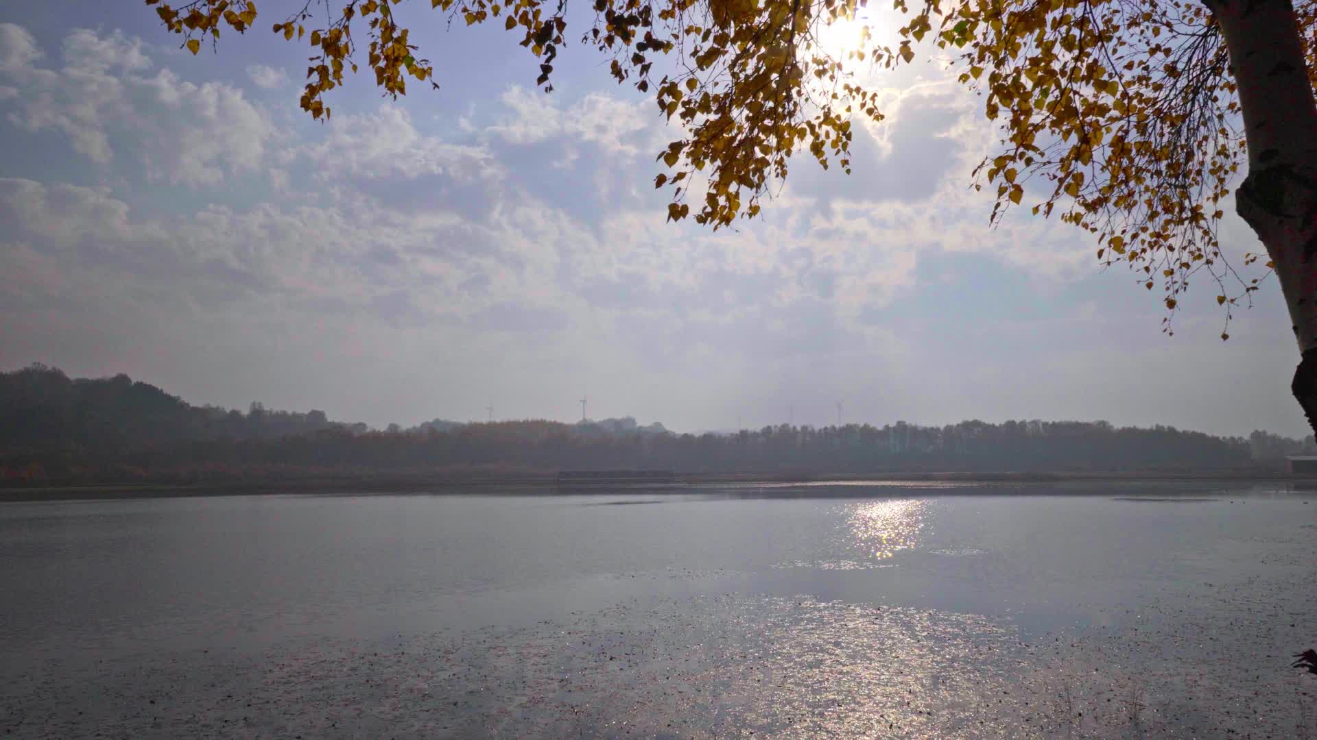 逆光清晨湖边水面波光粼粼视频的预览图