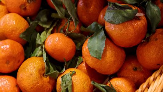 超市货柜里的水果沃柑橘子视频的预览图