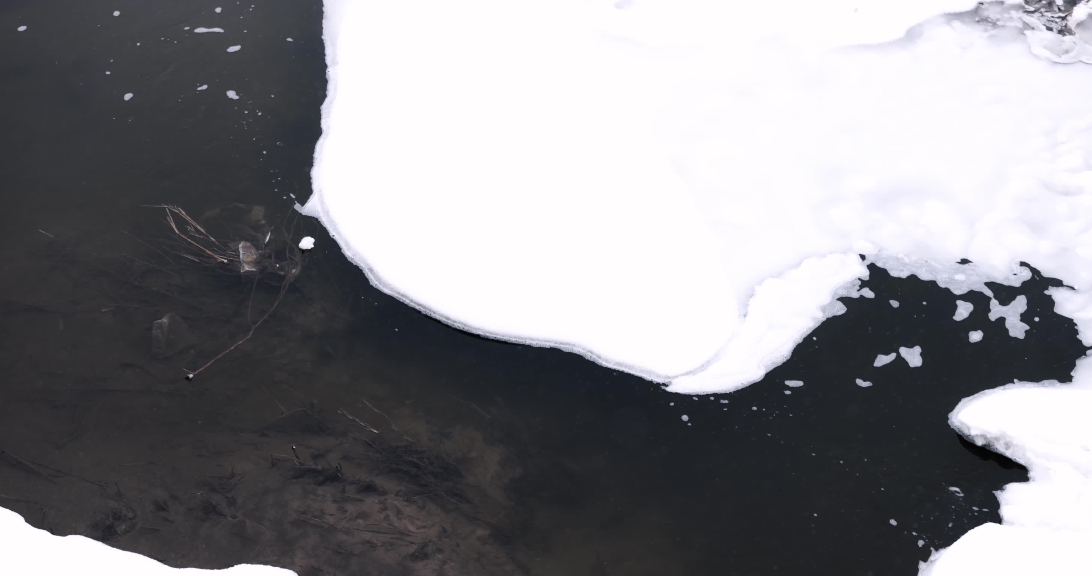 春天冰雪溶解的河流水面视频的预览图