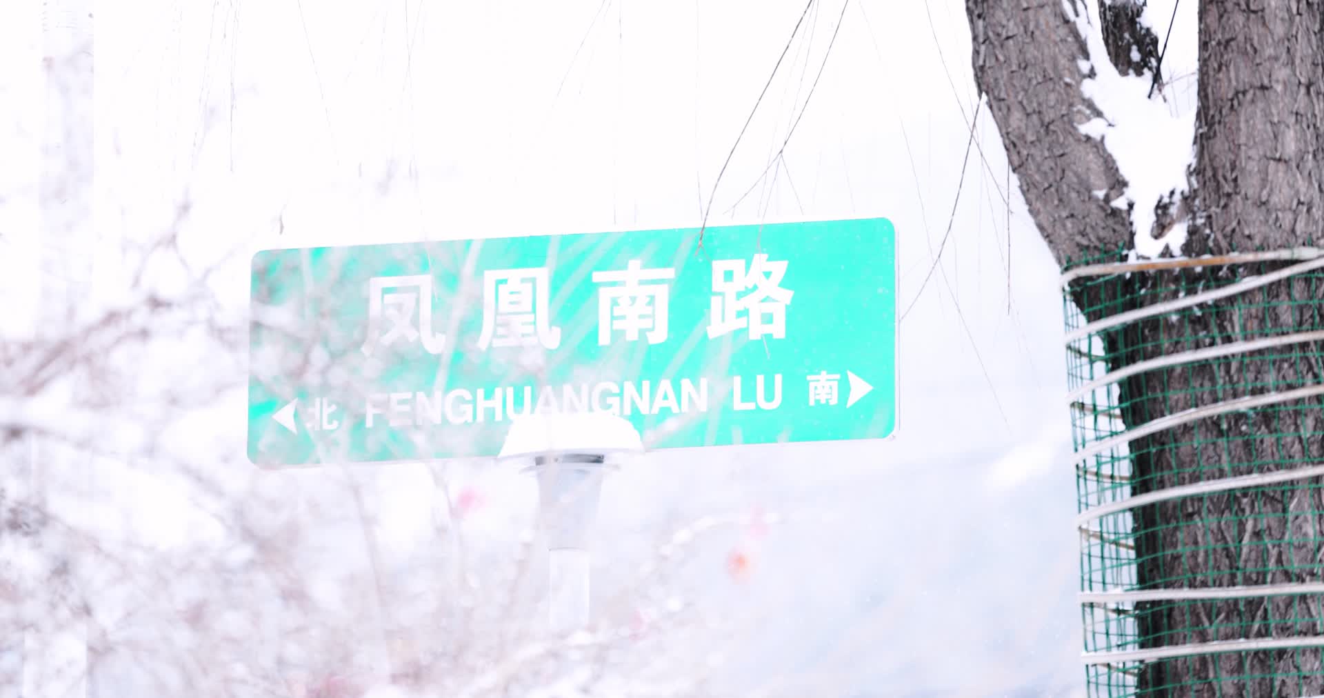 冬天大雪中的路牌特写横移镜头视频的预览图