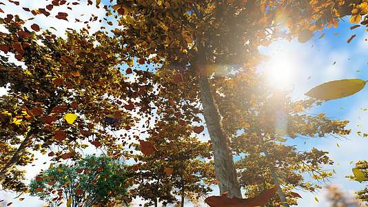 深秋小树林金色树叶飘落慢动作视频的预览图