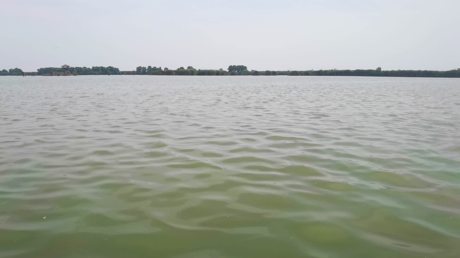 微风轻抚湖水波浪合肥巢湖视频的预览图