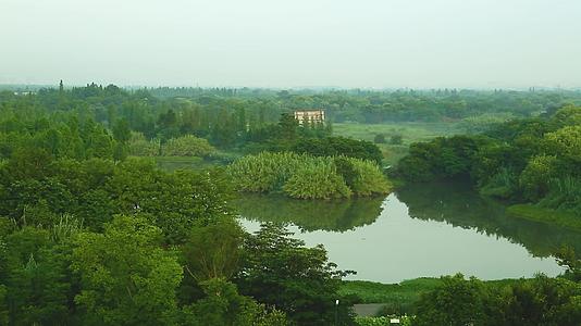 杭州西溪自然生态区景观视频的预览图